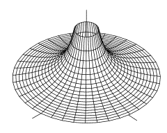 Rotan plocha